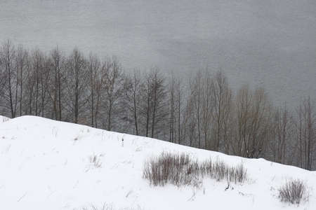 river on a sunny evening. Trees and shrubs. Landscape of winter nature, river banks overgrown with...