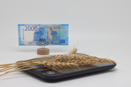 Dry ears on the scales nearby are banknotes, the global food crisis, grain exports, crop growthの写真素材