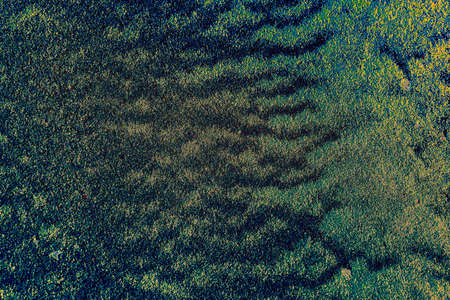 Frozen river sand. Texture of river sand. sand background. Changed color scheme