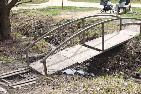 Landscape park in the Moscow region, flowering tree branches, spring April 2022の写真素材