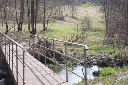 Early spring landscape with a small wild river, bare trees, reflections in the water, dry grass on...