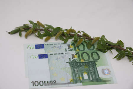 On the banknote there is a branch with blossoming buds, tender green leaves, spring, new grandiose plans for the financial yearの写真素材