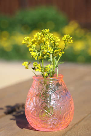 Summer bouquets of yellow wildflowers in ceramic vases. Yellow colza flowers in a vaseの写真素材