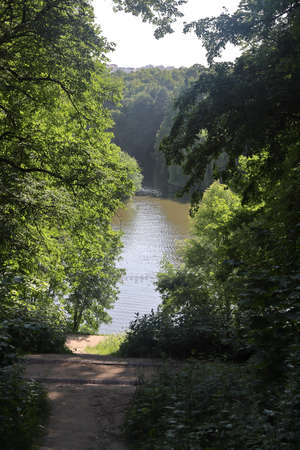 Beautiful colorful summer spring natural landscape with a lake in Park surrounded by green foliage...