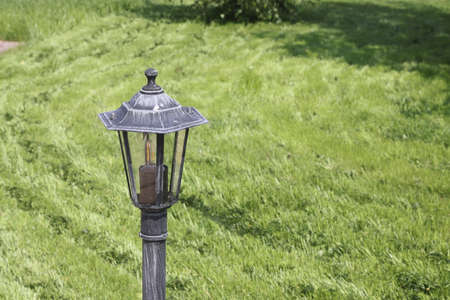 partially cut grass lawn. Part of lawn has been cut and other part was not cutの写真素材