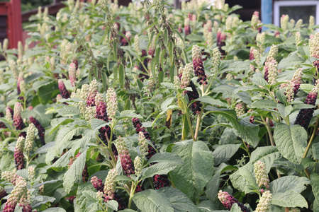 Sky with blue and white clouds beautiful nature backgroundの写真素材