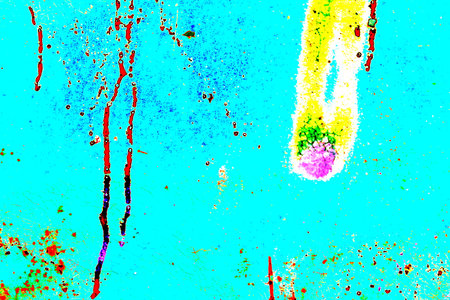Luxurious abstract background swirling spots, printed materials, colored paint blots on a...