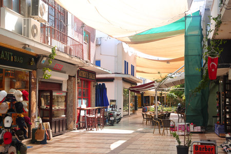 View of a white narrow street in the Aegean style with flowers in pots. Bodrum, Turkiye, May 2023の写真素材