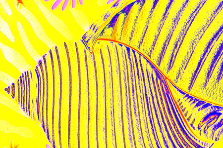 colorful texture of metal background close up, motley backgroundの写真素材