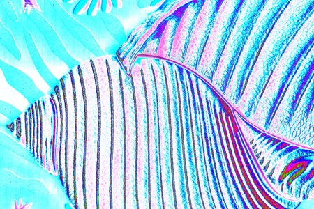 colorful texture of metal background close up, motley backgroundの写真素材