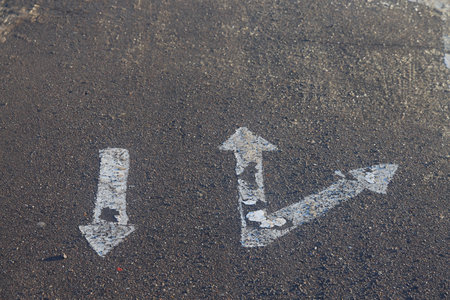 markings on asphalt road in the park, in the direction, in the direction of travel