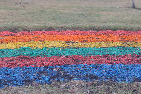 Colored bark bedding on the lawnの写真素材