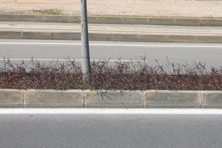curb and road markings, curb and roadside, roadway, Alanya, Turkey, March 2025