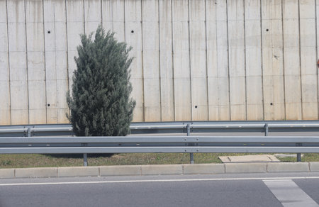 A section of an asphalt road with a curb stone and a lawn.