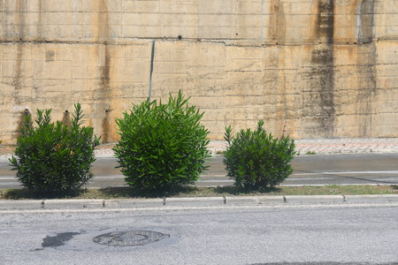 A section of an asphalt road with a curb stone and a lawn, minimalism, urbanism.の写真素材