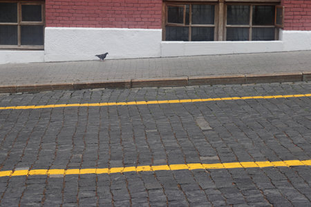 road markings on road paving stones, yellow paint on dark paving stonesの写真素材