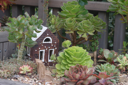 small toy house among seculents, floricultureの写真素材