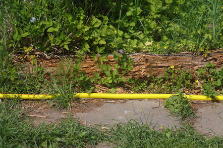 yellow irrigation shale on a summer cottage, gardenの写真素材