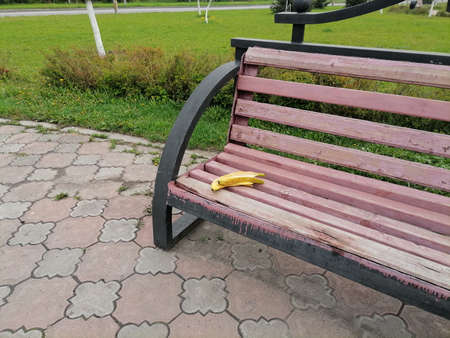 banana peel on the benchの写真素材