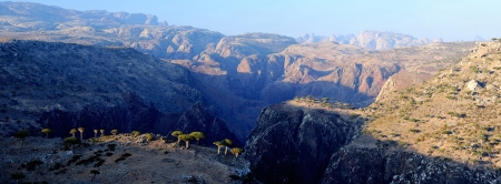 Yemen  Socotra island  Panorama of plateau Dixamの写真素材