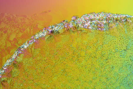Micro Crystals in polarized Light