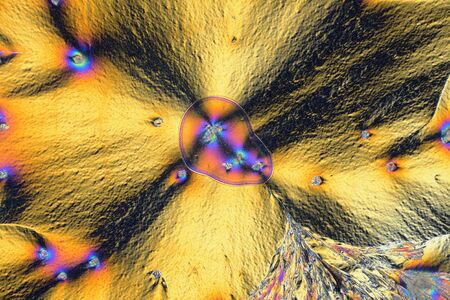 Colorful micro crystals in polarized light.