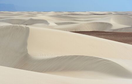 Sand dunes of Stero in Socotra island, Yemen.の写真素材