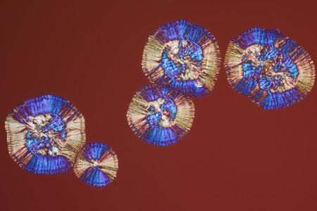 Colorful micro crystals in polarized light.