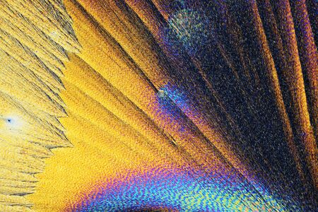 Colorful micro crystals in polarized light.