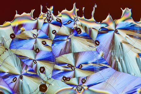 Colorful micro crystals in polarized light.
