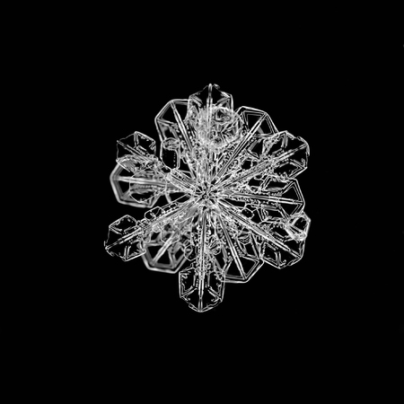 Extreme closeup of natural snowflake.の写真素材