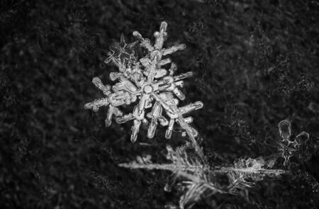 Extreme closeup of natural snowflake.の写真素材