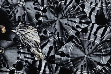 Micro crystals in polarized light.の写真素材