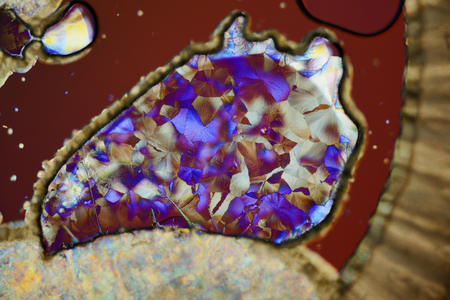 Colorful micro crystals in polarized light.