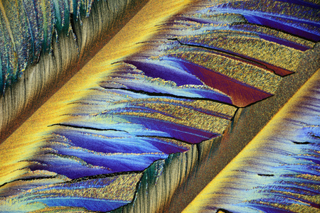 Photo through a microscope of crystals growing from the melt of sulfur. Polarized light technology.の写真素材