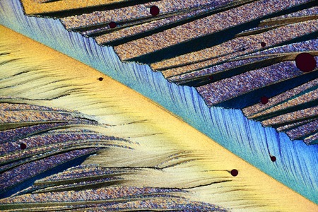 Photo through a microscope of crystals growing from the melt of sulfur. Polarized light technology.