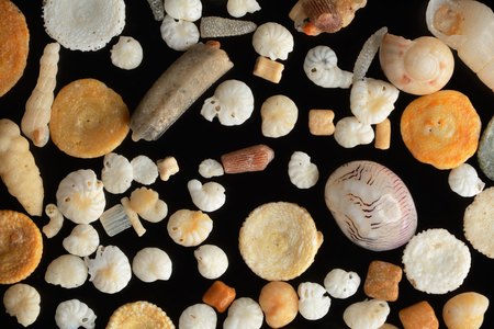 Extreme close-up of the coral sand grains. Hurgada, Egypt.