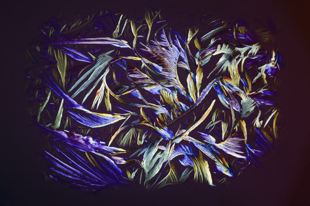 Photo through a microscope of crystals grown from a solution of benzoic acid in alcohol. Polarized light technology.の写真素材