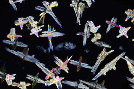 Photo through a microscope of crystals grown from a solution of CuCl in alcohol. Polarized light technology.の写真素材