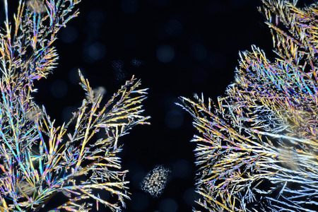 Photo through a microscope of crystals grown from the melt of sulfo-salicylic acid. Polarized light technology. Abstract art wallpaper. Background for design.の写真素材