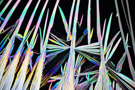 Photo through a microscope of crystals grown from the melt of sulfo-salicylic acid. Polarized light...