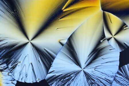 Photo through a microscope of crystals grown from a solution of ascorbic acid in alcohol. Polarized...
