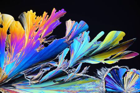 Photo through a microscope of crystals grown from a melt of citric acid. Polarized light technology. Abstract art wallpaper. Background for design.の写真素材