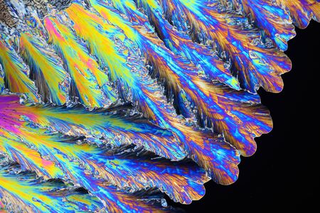 Photo through a microscope of crystals grown from a melt of citric acid. Polarized light technology....