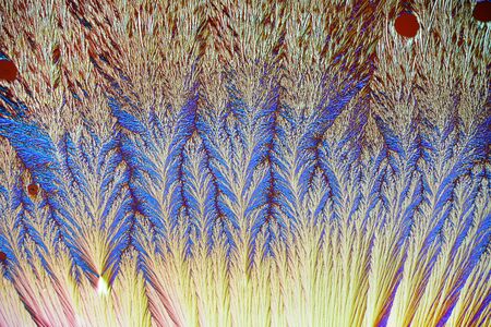 Photo through a microscope of crystals grown from a solution of ascorbic acid in alcohol. Polarized...