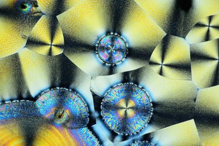 Photo through a microscope of crystals grown from a solution of ascorbic acid in alcohol. Polarized light technology. Abstract art wallpaper. Background for design.の写真素材