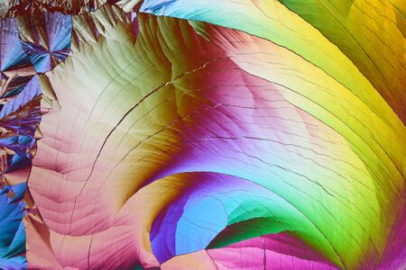 Photo through a microscope of crystals growing from the melt of stearic acid. Polarized light...