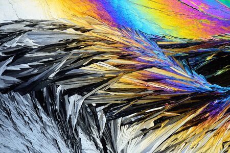 Photo through a microscope of crystals growing from the melt of ammonia alum. Polarized light technology. Abstract art wallpaper. Background for design.の写真素材