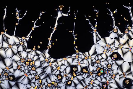 Photo through a microscope of crystals grown from a solution of ascorbic acid in alcohol. Polarized light technology. Abstract art wallpaper. Background for design.の写真素材