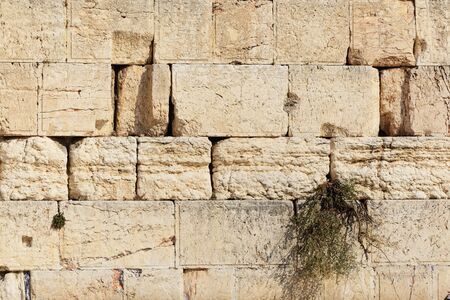 Detail of Western Wall in Jerusalem Old City, Israel.の写真素材